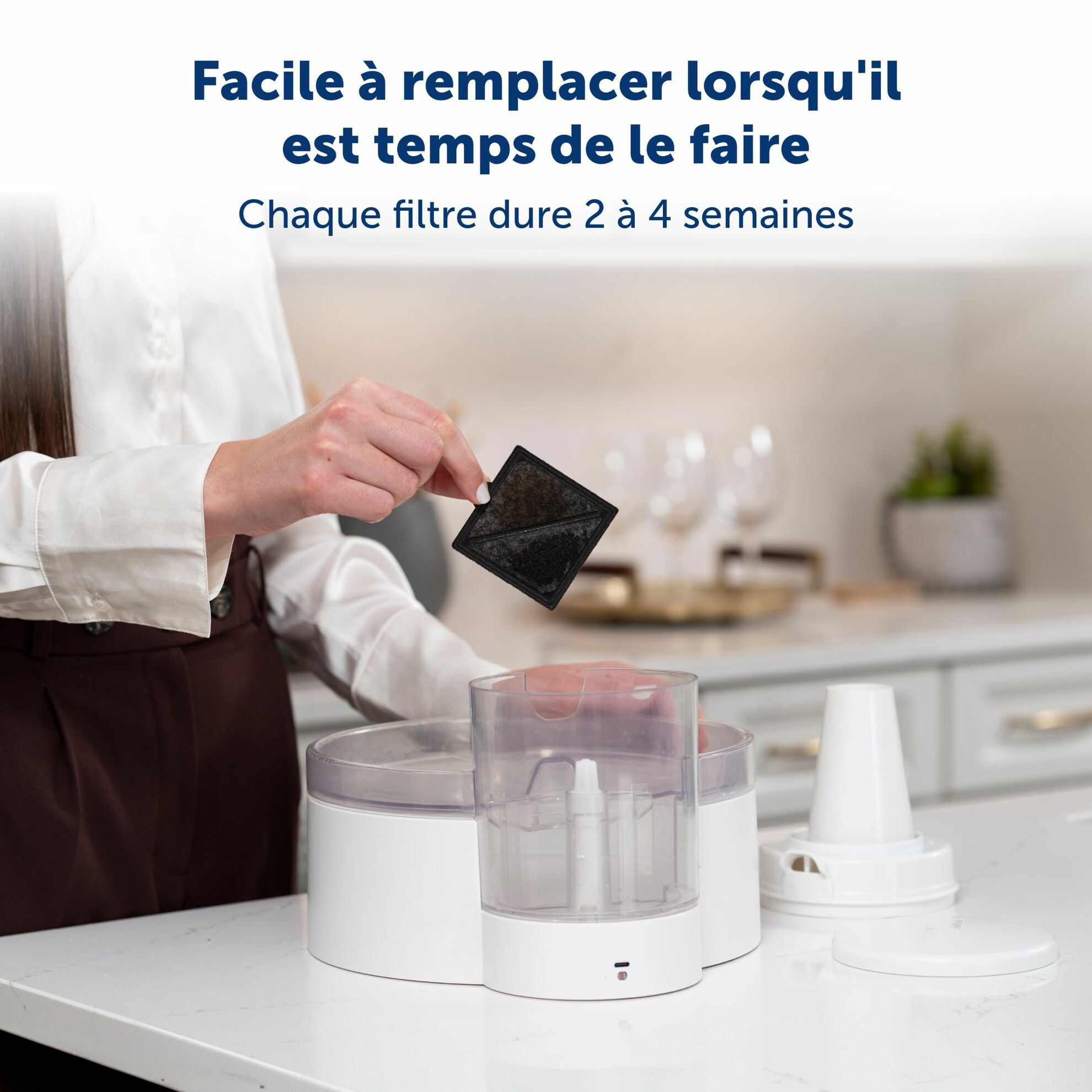 Lot de 4 filtres Ion-X pour fontaines Viva et Outlast