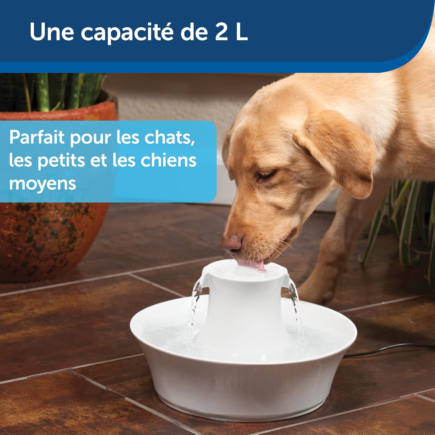 Fontaine à eau Drinkwell® Avalon en céramique 2 L pour chiens et chats