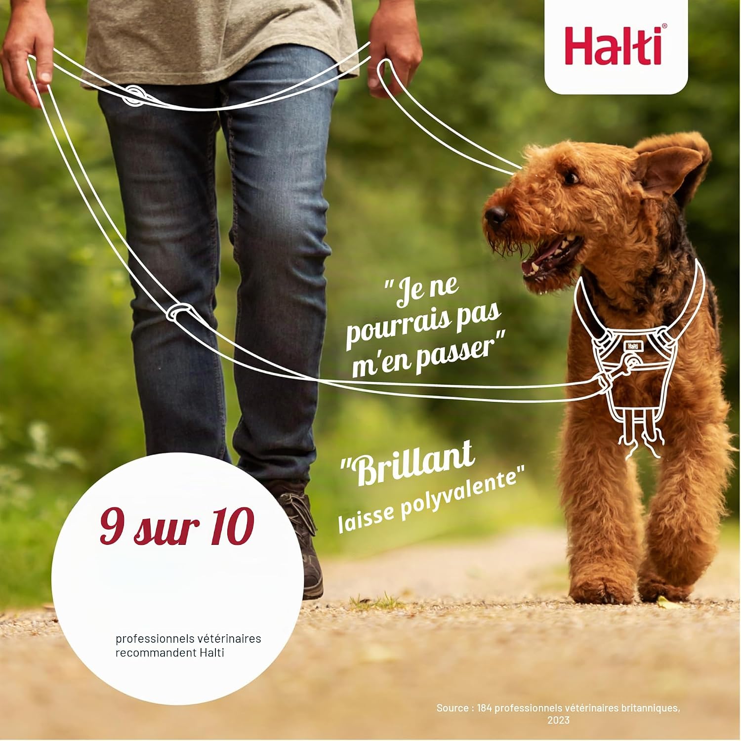 Laisse d’éducation 3 positions pour chiens