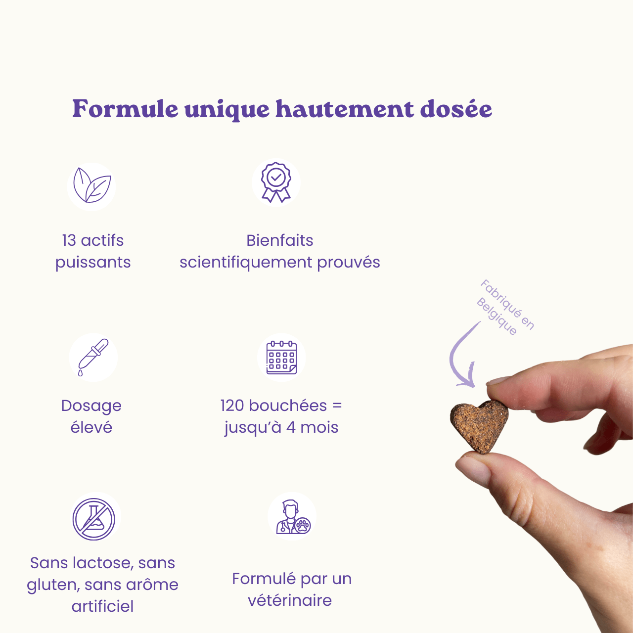 Complément alimentaire anti-stress pour chiens