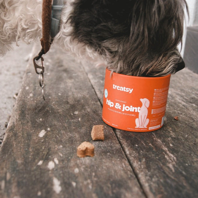 Complément alimentaire mobilité pour chiens