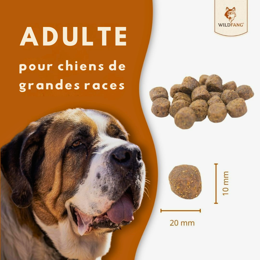 Croquettes au saumon et à la truite pour chiens adultes