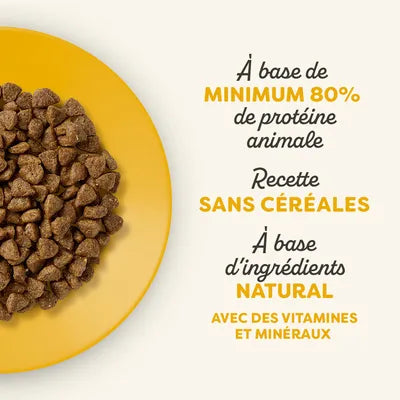 Croquettes au poulet pour chats seniors