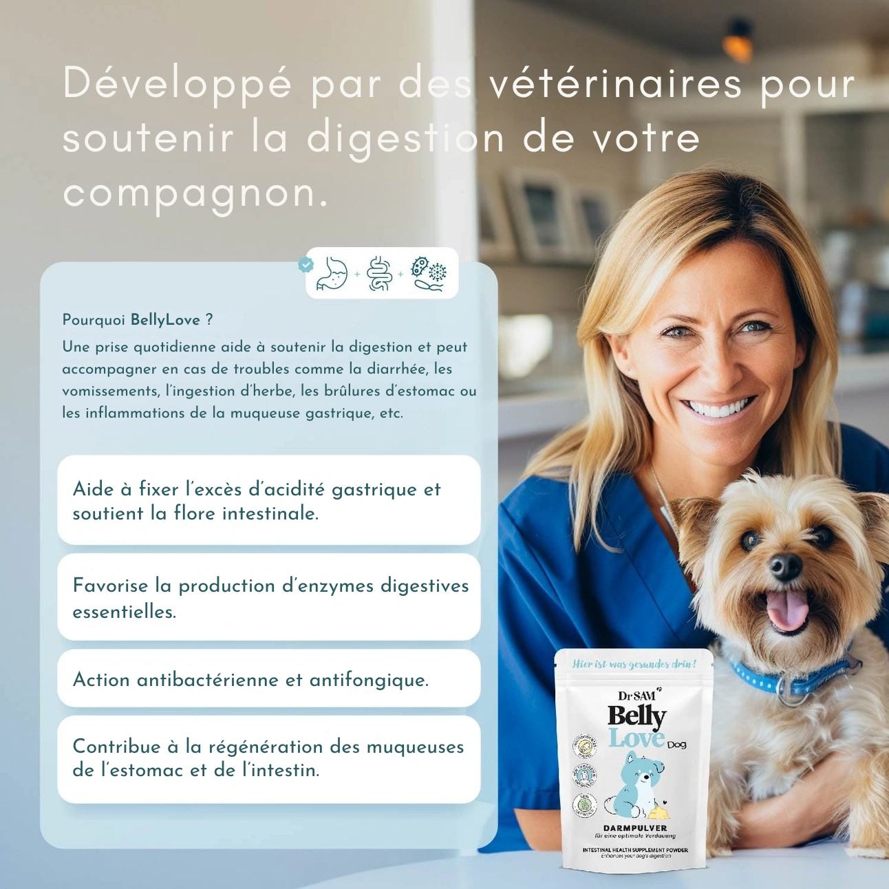 Poudre intestinale à base de plantes pour chiens
