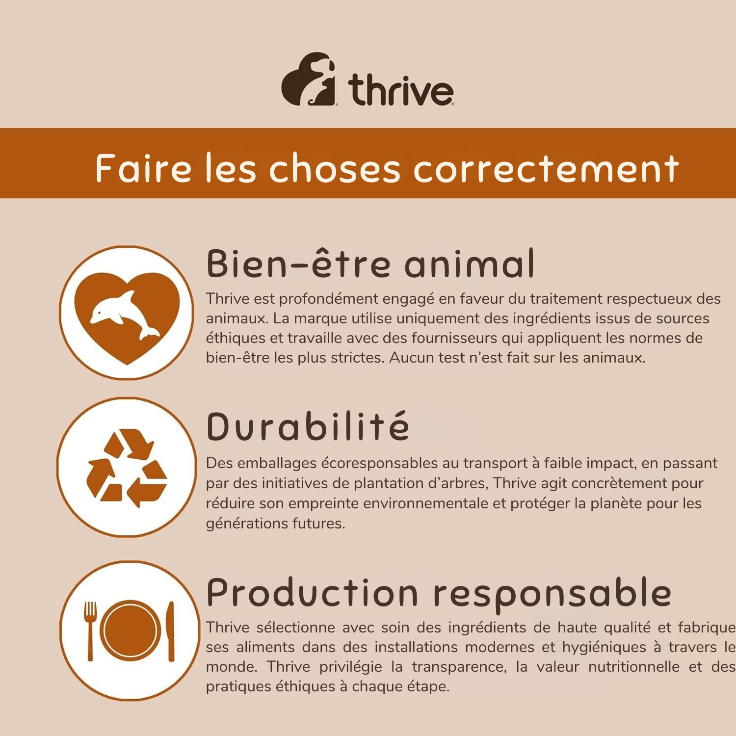 Nourriture humide complète au blanc de poulet pour chatons