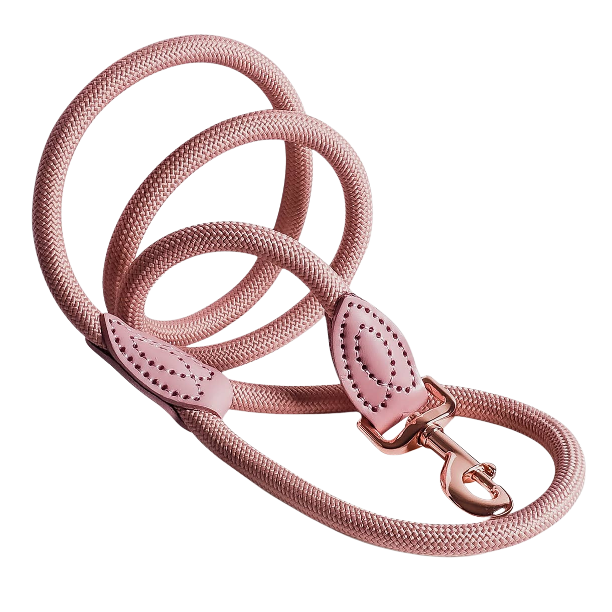 Laisse en polyamide et cuir