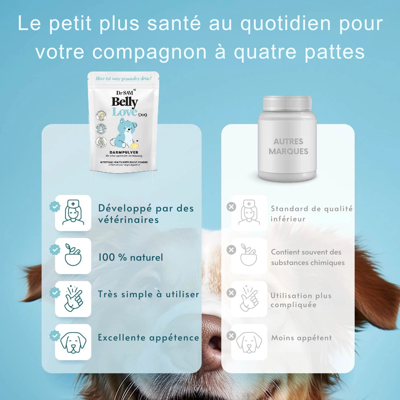 Poudre intestinale à base de plantes pour chiens