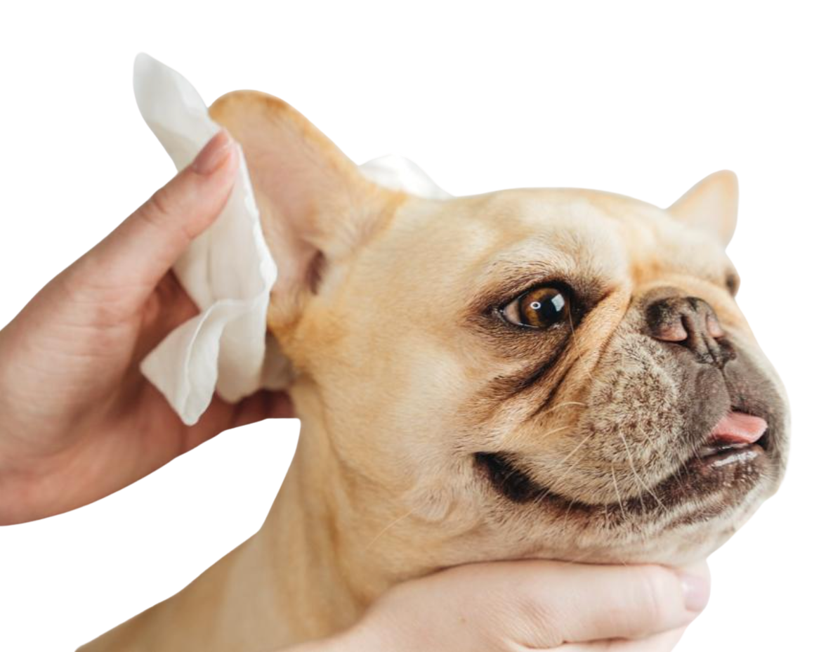 Lingettes de toilettage naturelles en bambou