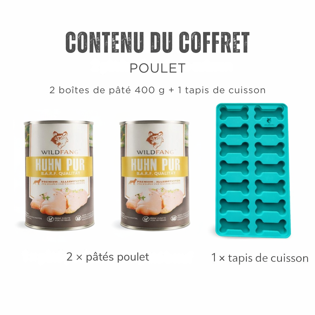 Coffret biscuits à cuire avec moule silicone