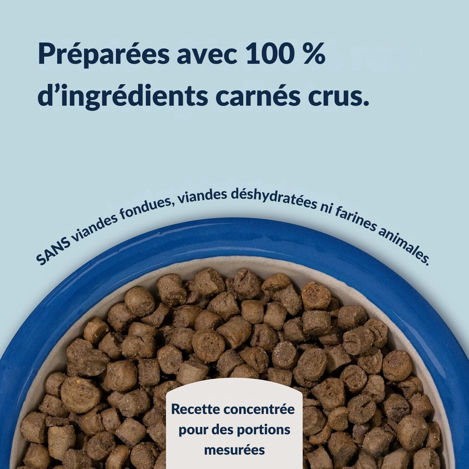 Croquettes boeuf & merlan bleu du Sud pour chats