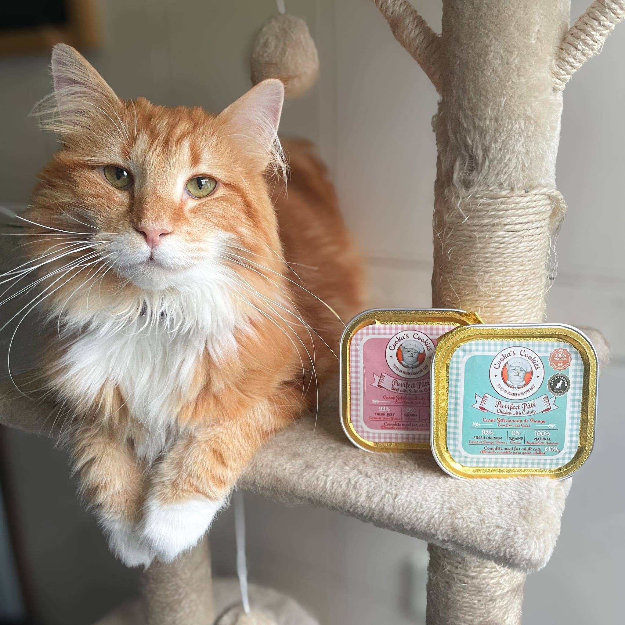 Pâté poulet & cataire