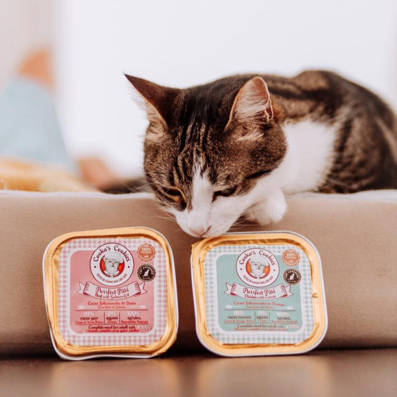 Pâté poulet & cataire