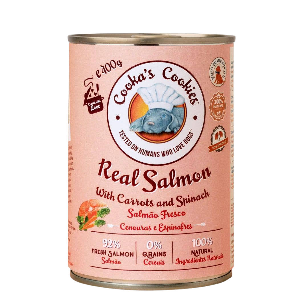 Pâté au saumon frais avec carottes et épinards
