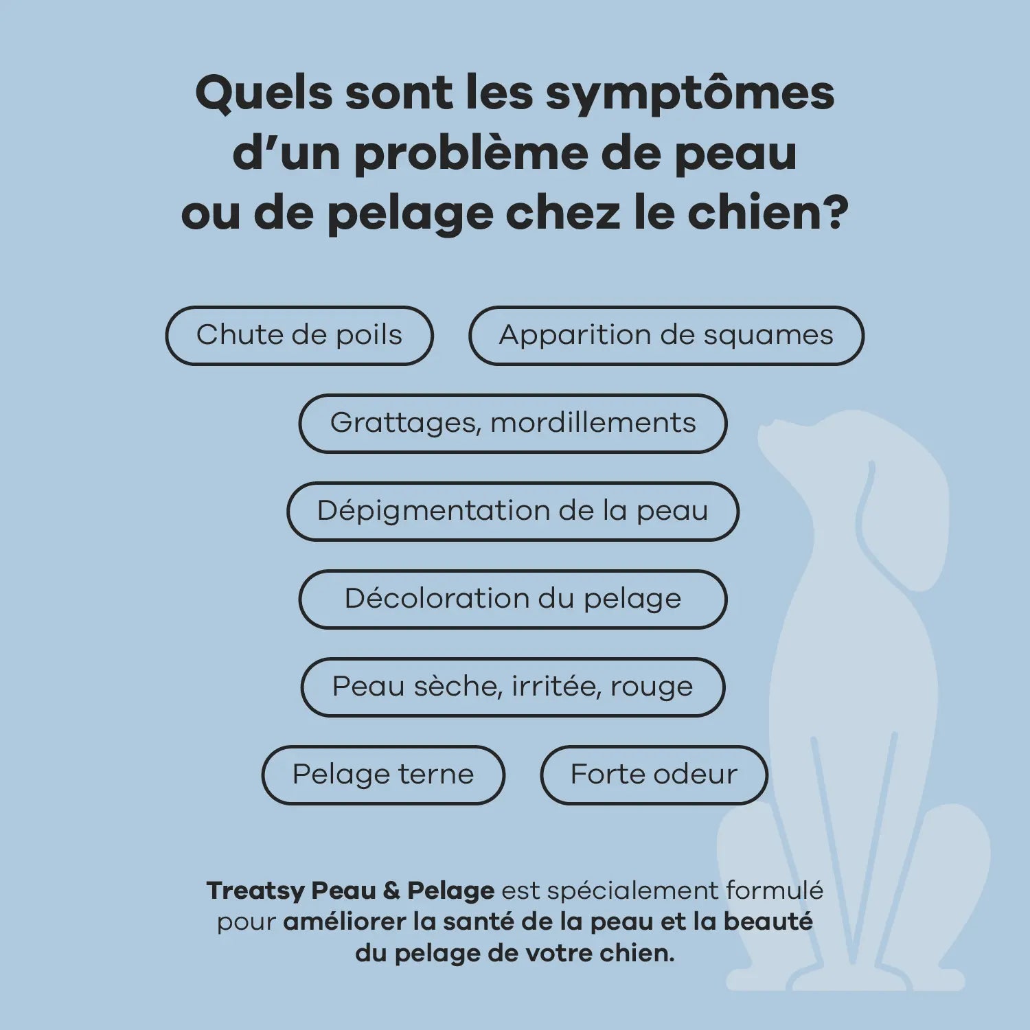 Complément alimentaire peau et pelage au poulet pour chiens