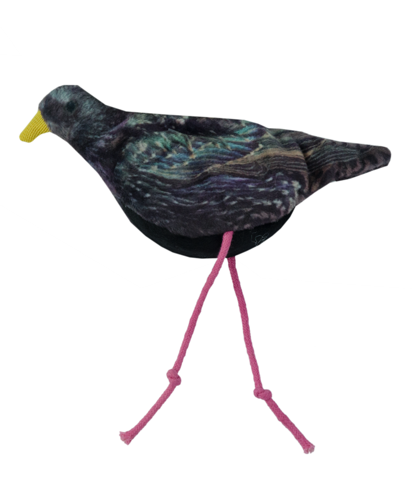 Jouet étourneau à l’herbe à chat