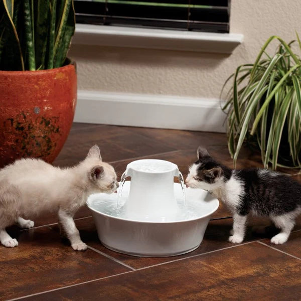Fontaine à eau Drinkwell® Avalon en céramique 2 L pour chiens et chats