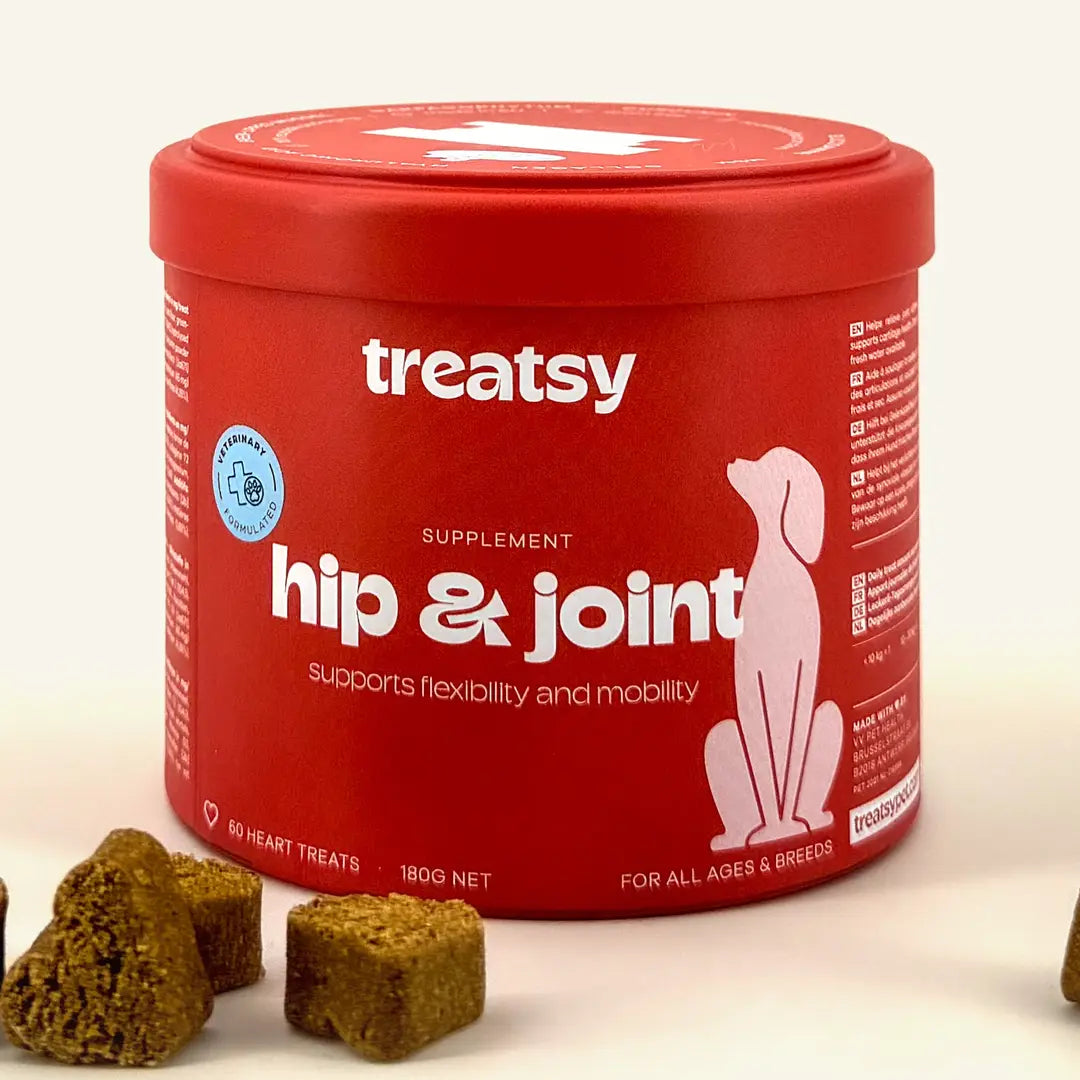 Complément alimentaire mobilité pour chiens