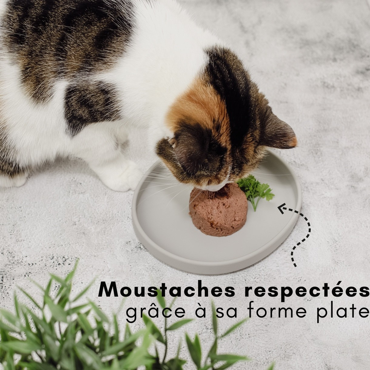 Gamelle plate en silicone