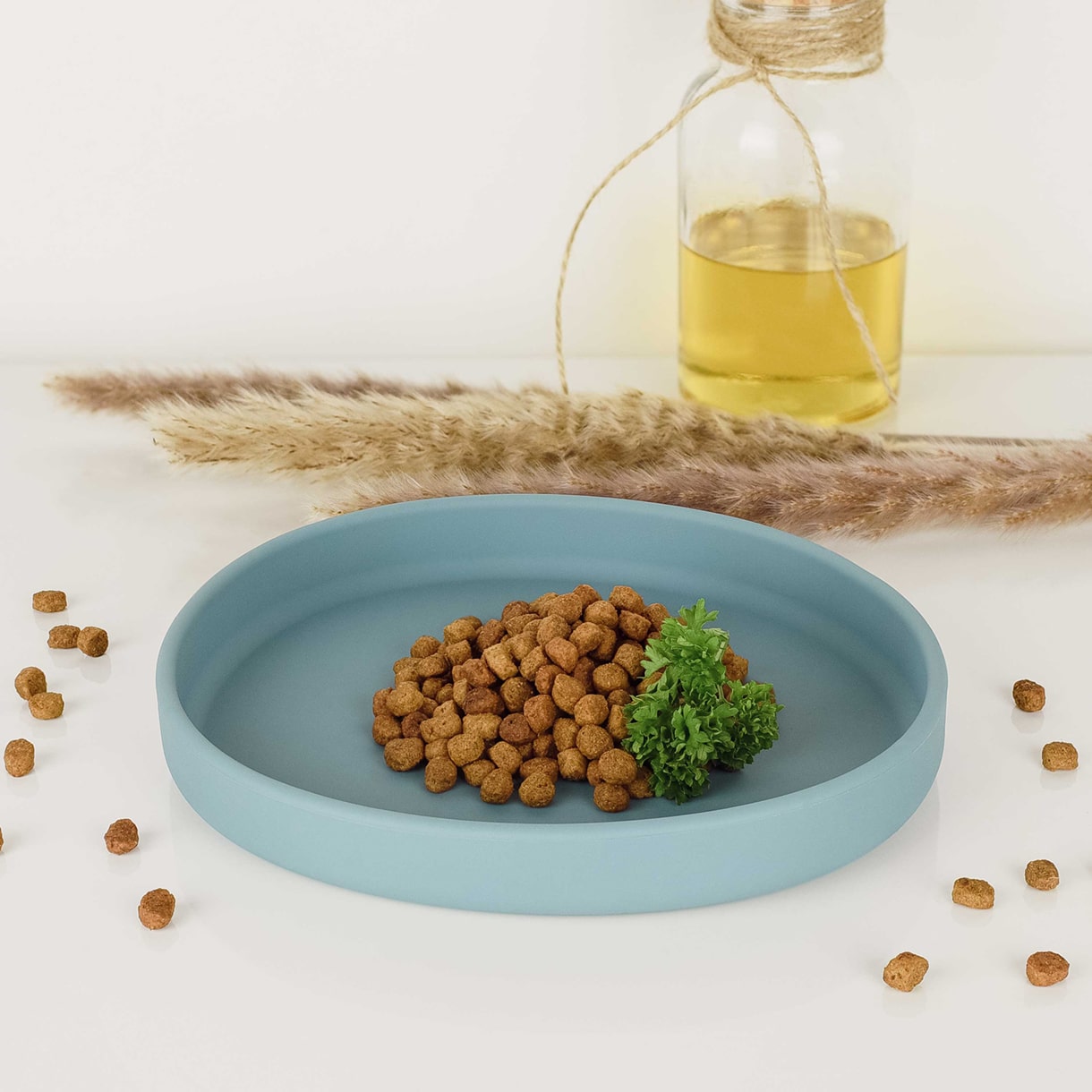 Gamelle plate en silicone