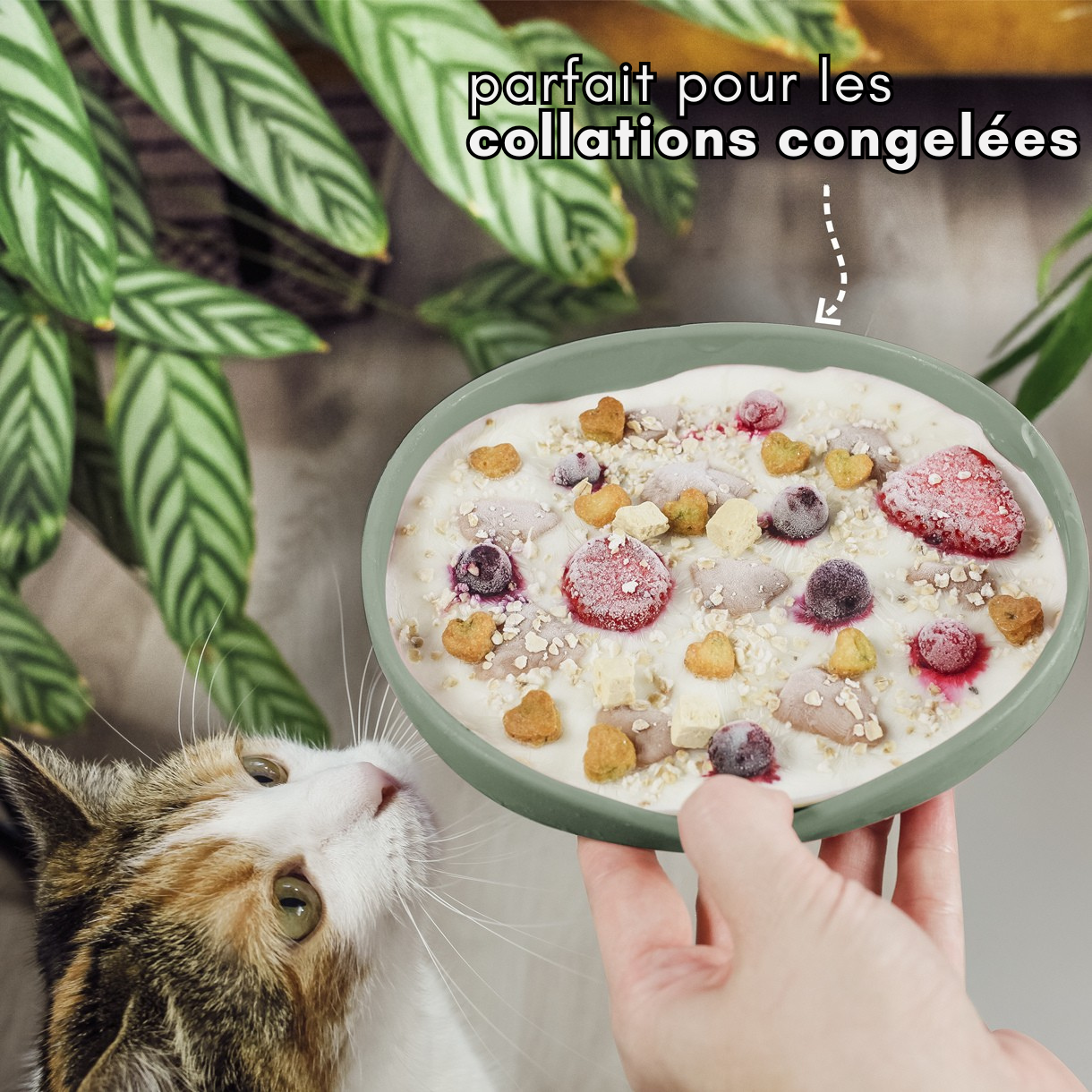 Gamelle plate en silicone