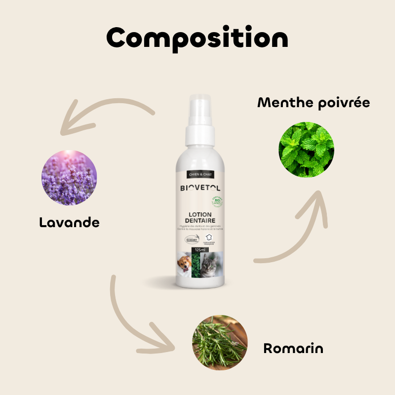 Lotion dentaire aux actifs végétaux bio