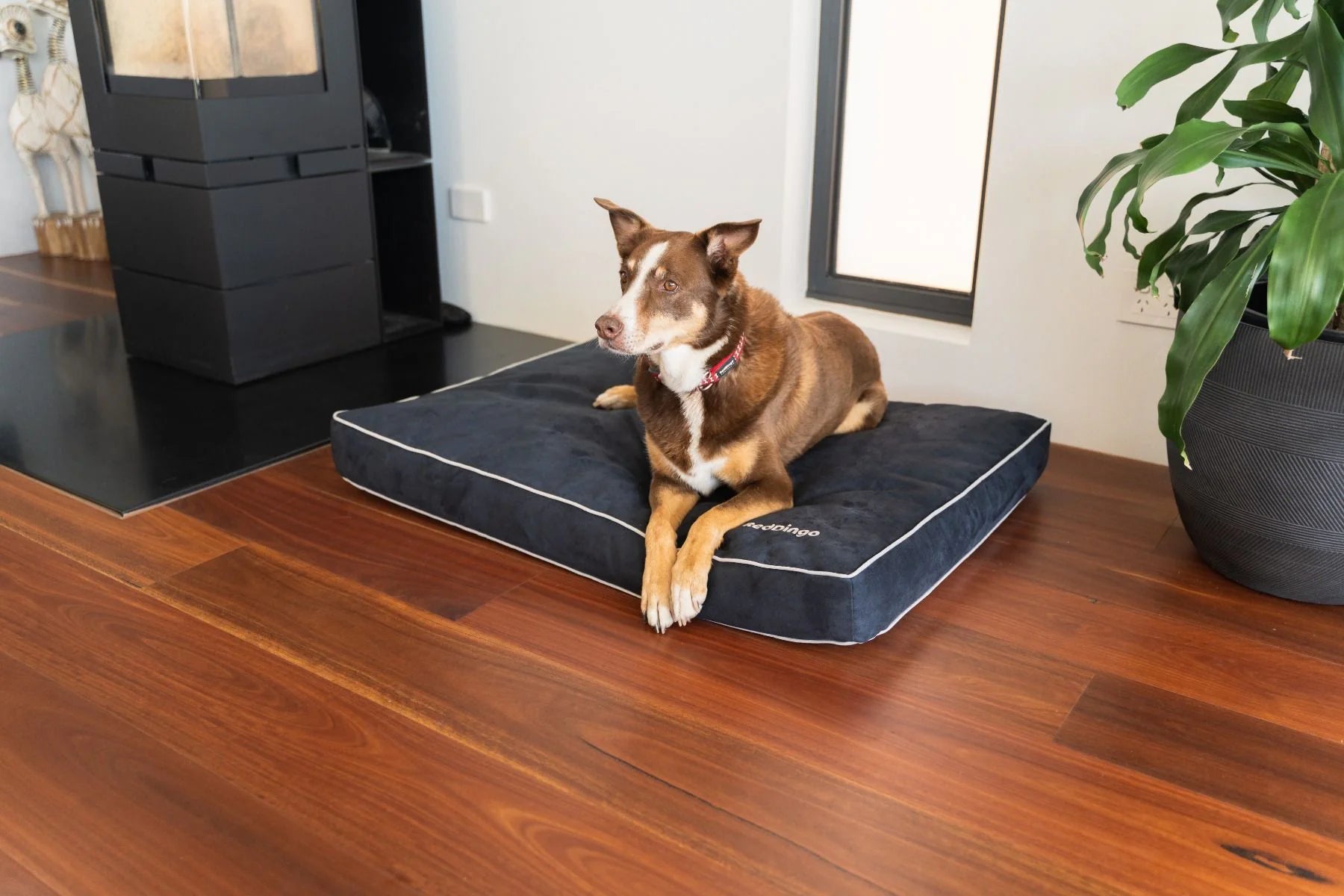 Matelas déhoussable en microfibre