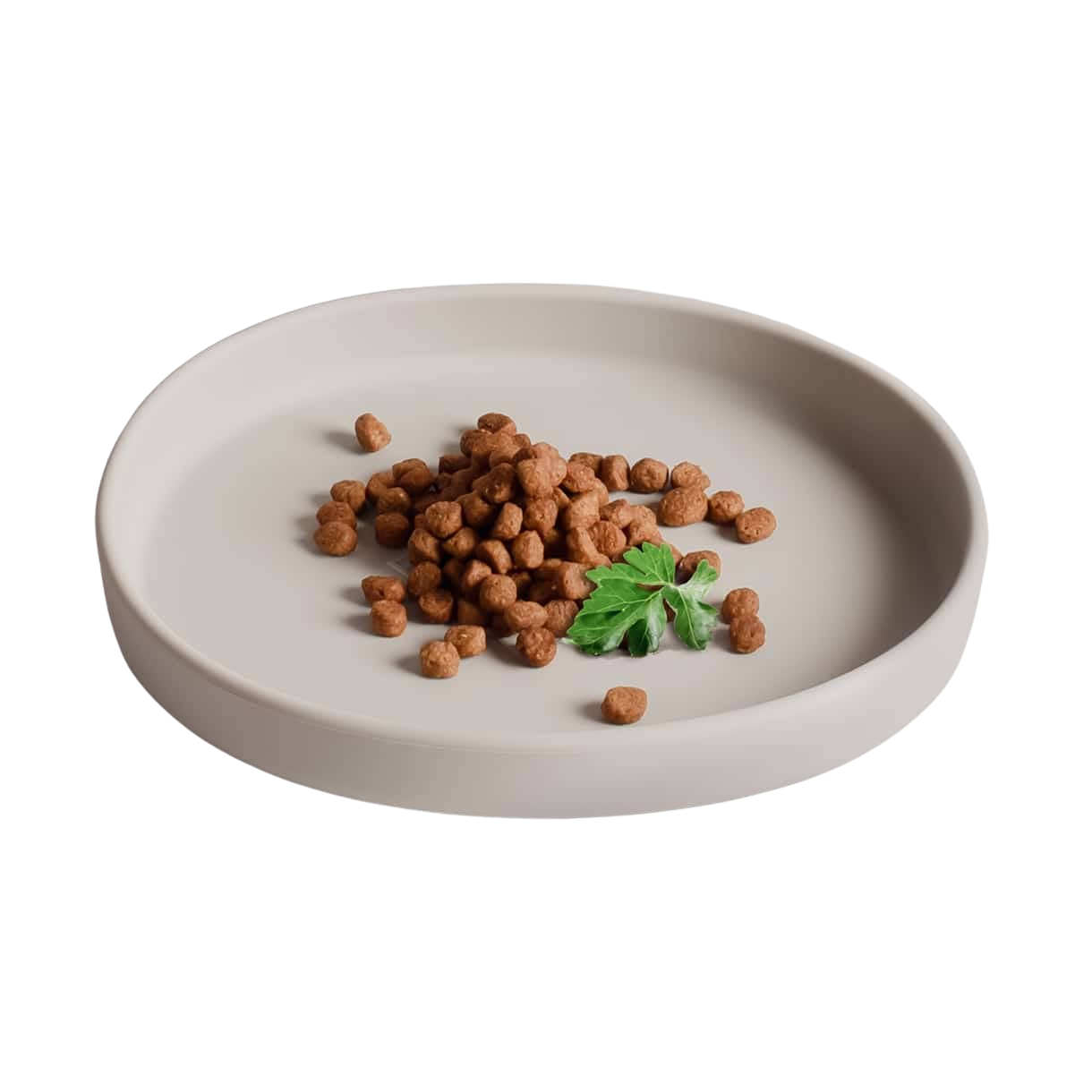 Gamelle plate en silicone