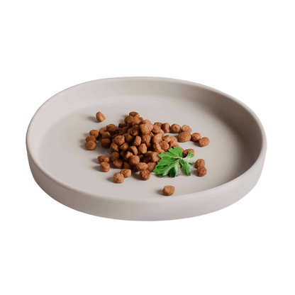 Gamelle plate en silicone