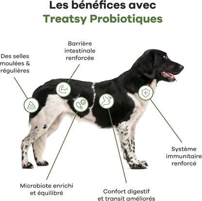 Complément alimentaire probiotiques au poulet pour chiens