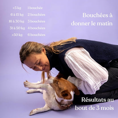 Complément alimentaire anti-stress pour chiens