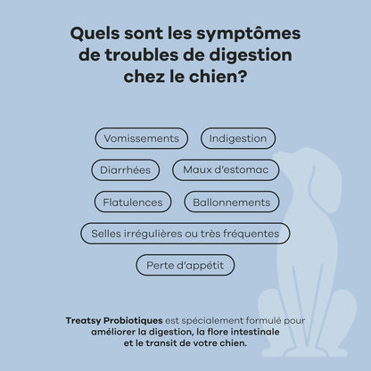 Complément alimentaire probiotiques au poulet pour chiens