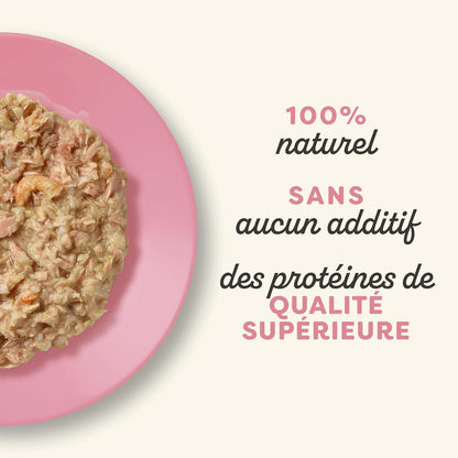 Filet de thon et crevettes en bouillon pour chats adultes