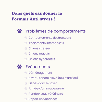 Complément alimentaire anti-stress pour chiens