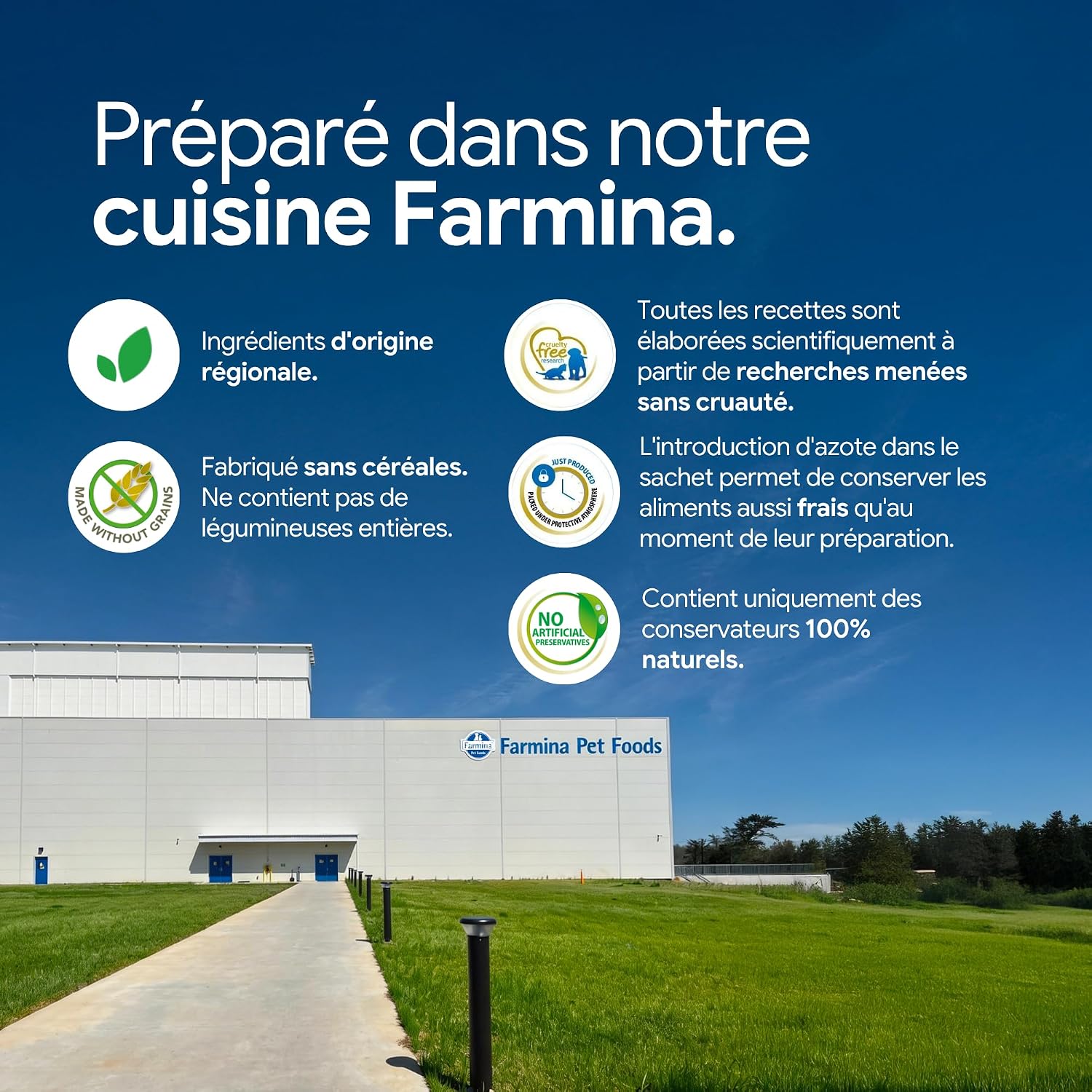 Croquettes caille et quinoa pour petits chiens adultes