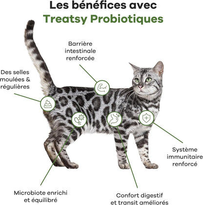 Complément alimentaire probiotiques au poisson et poulet pour chats