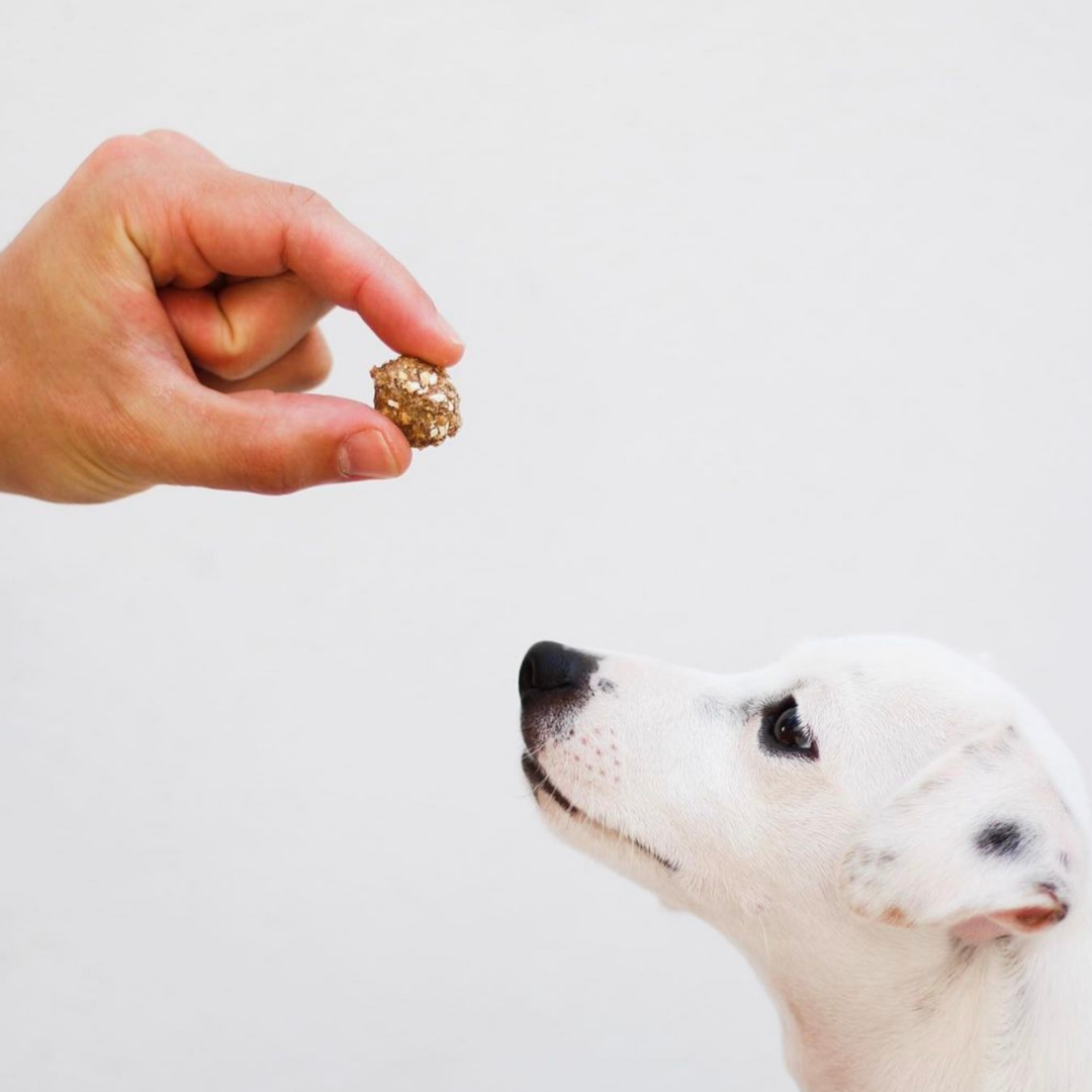 Cornet de friandises au porc et à la sardine pour chiens