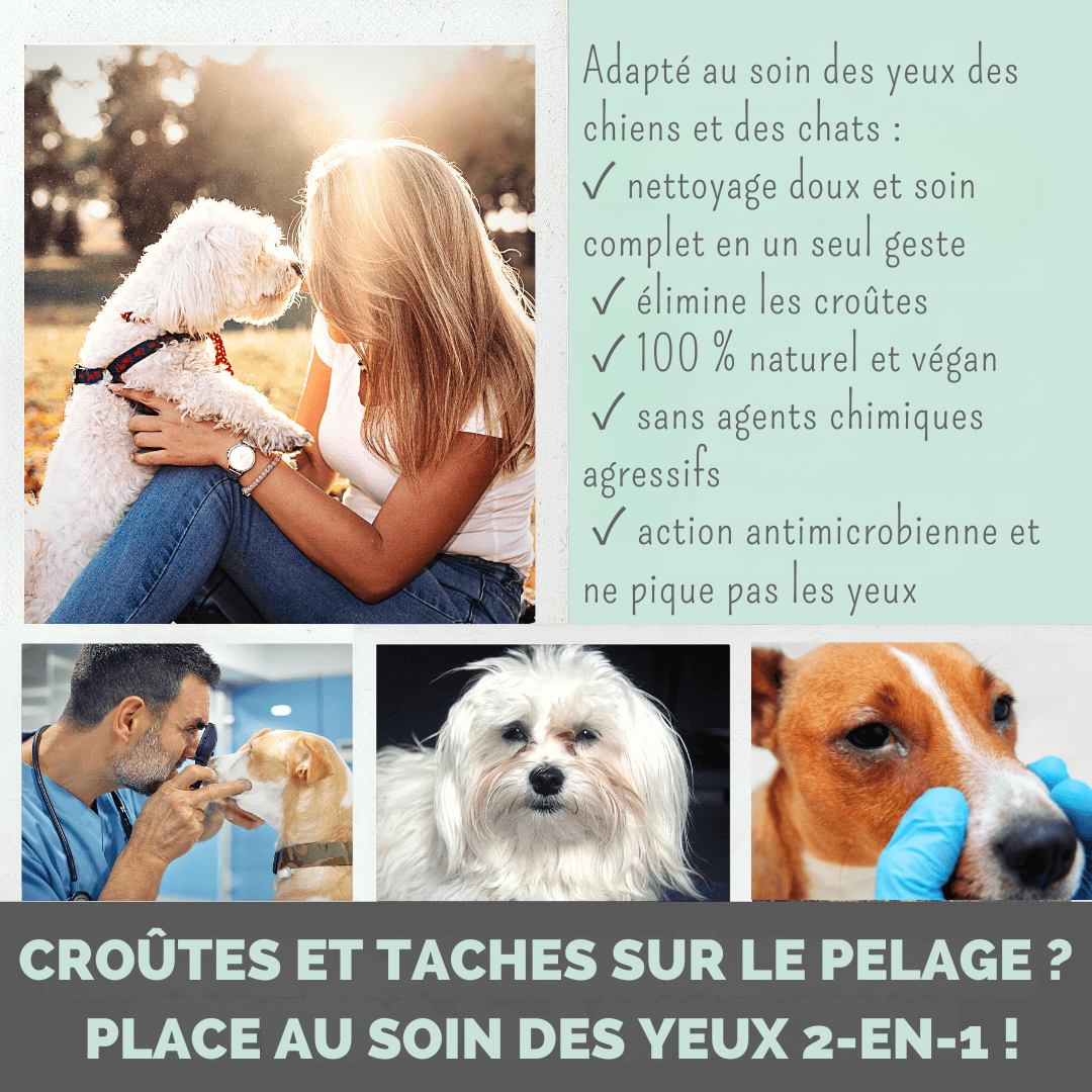Soin des yeux 2 en 1 pour chiens et chats