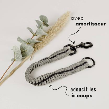 Harnais réfléchissant anti-traction