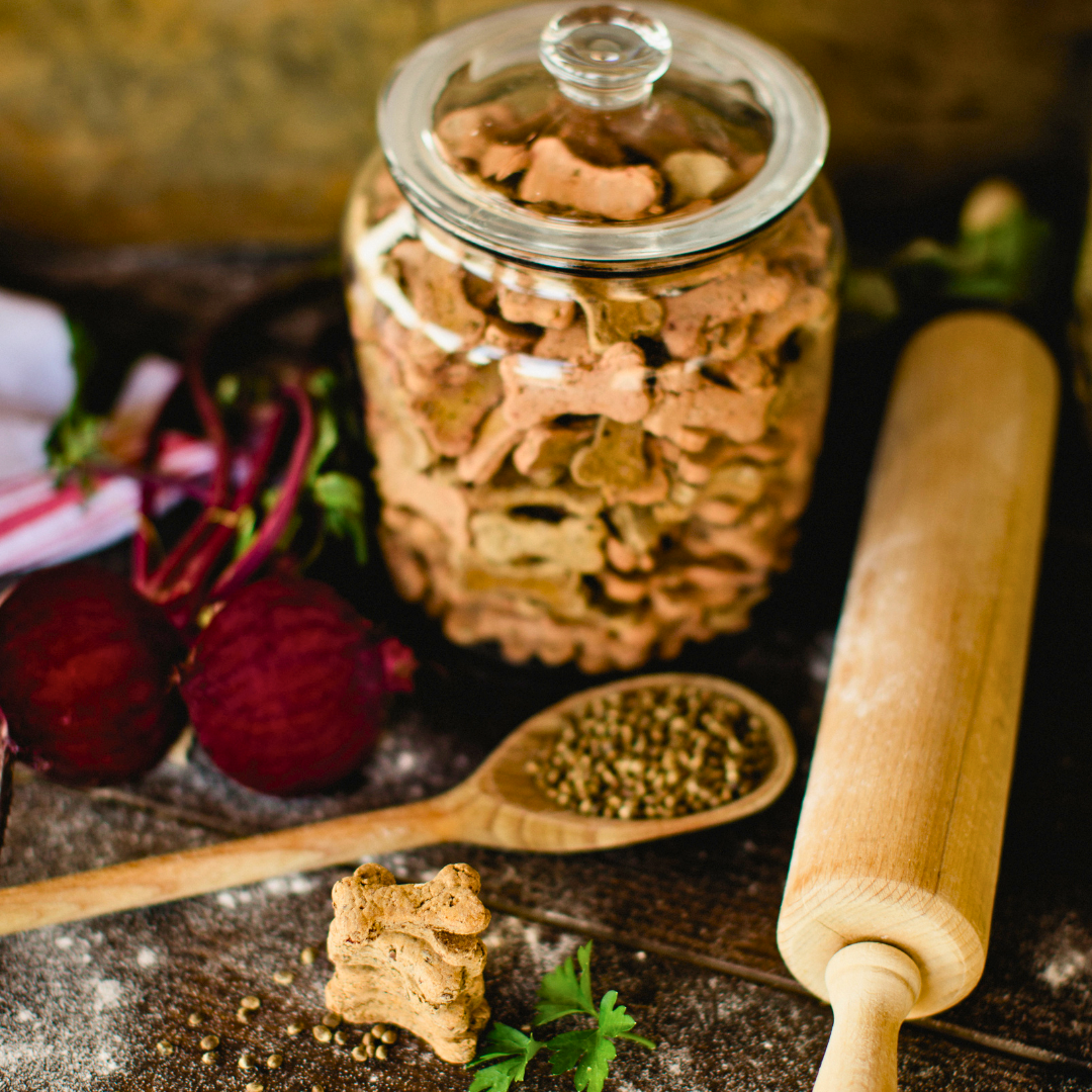 Biscuits croquants au bœuf en forme d’os