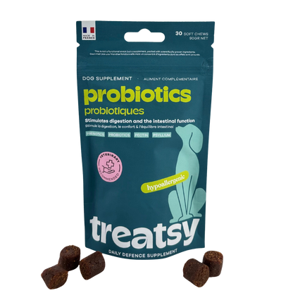 Complément alimentaire probiotiques pour chiens
