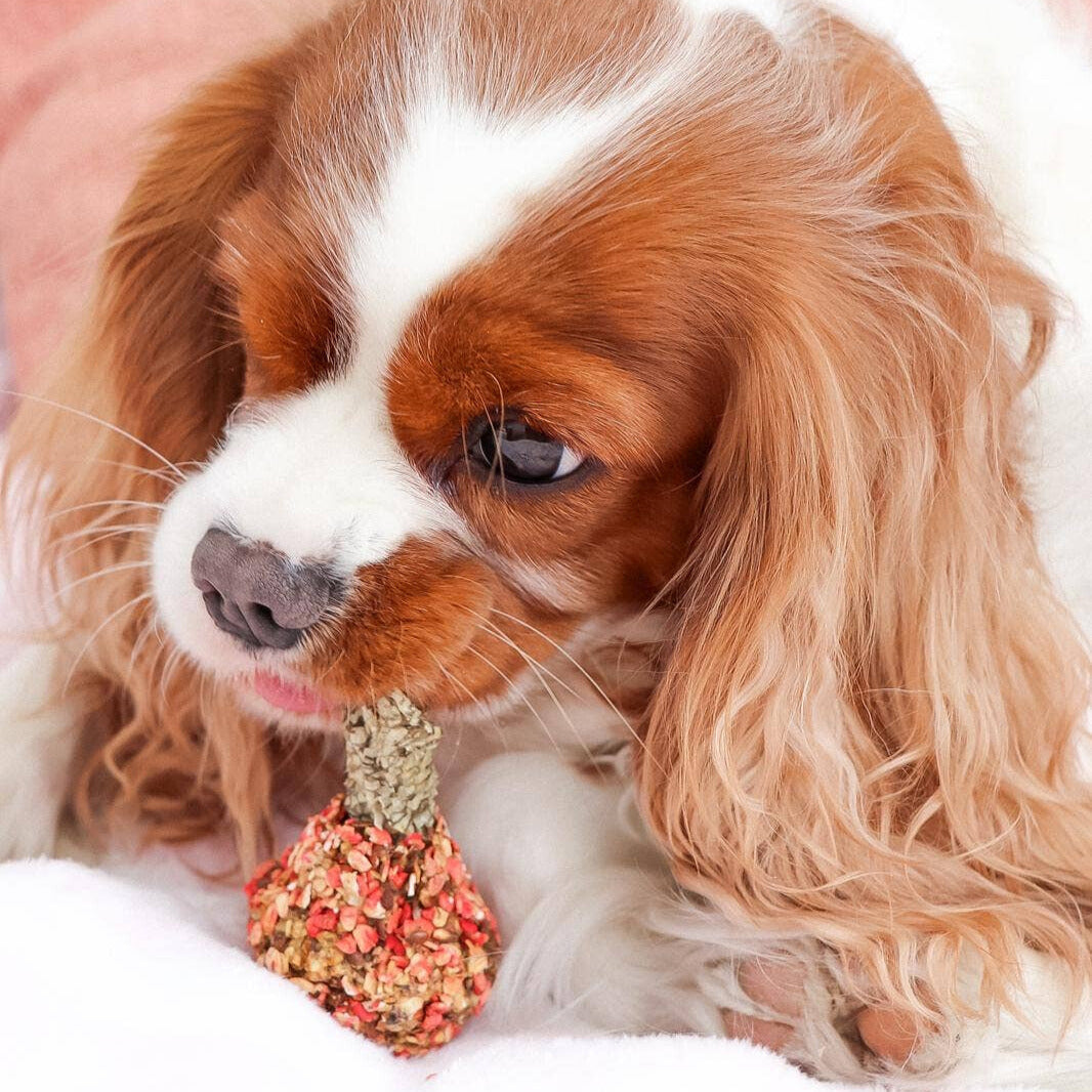 Friandise dinde et peau de morue pour chiens