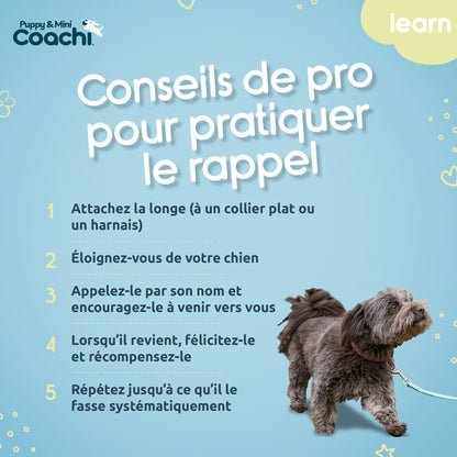 Longe imperméable pour chiots et chiens de petite taille