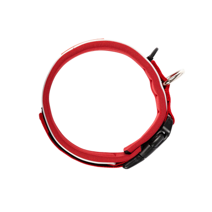 Collier Neo Classic en néoprène pour chiens
