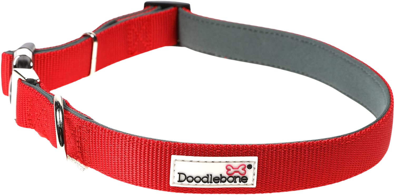 Collier réglable rembourré