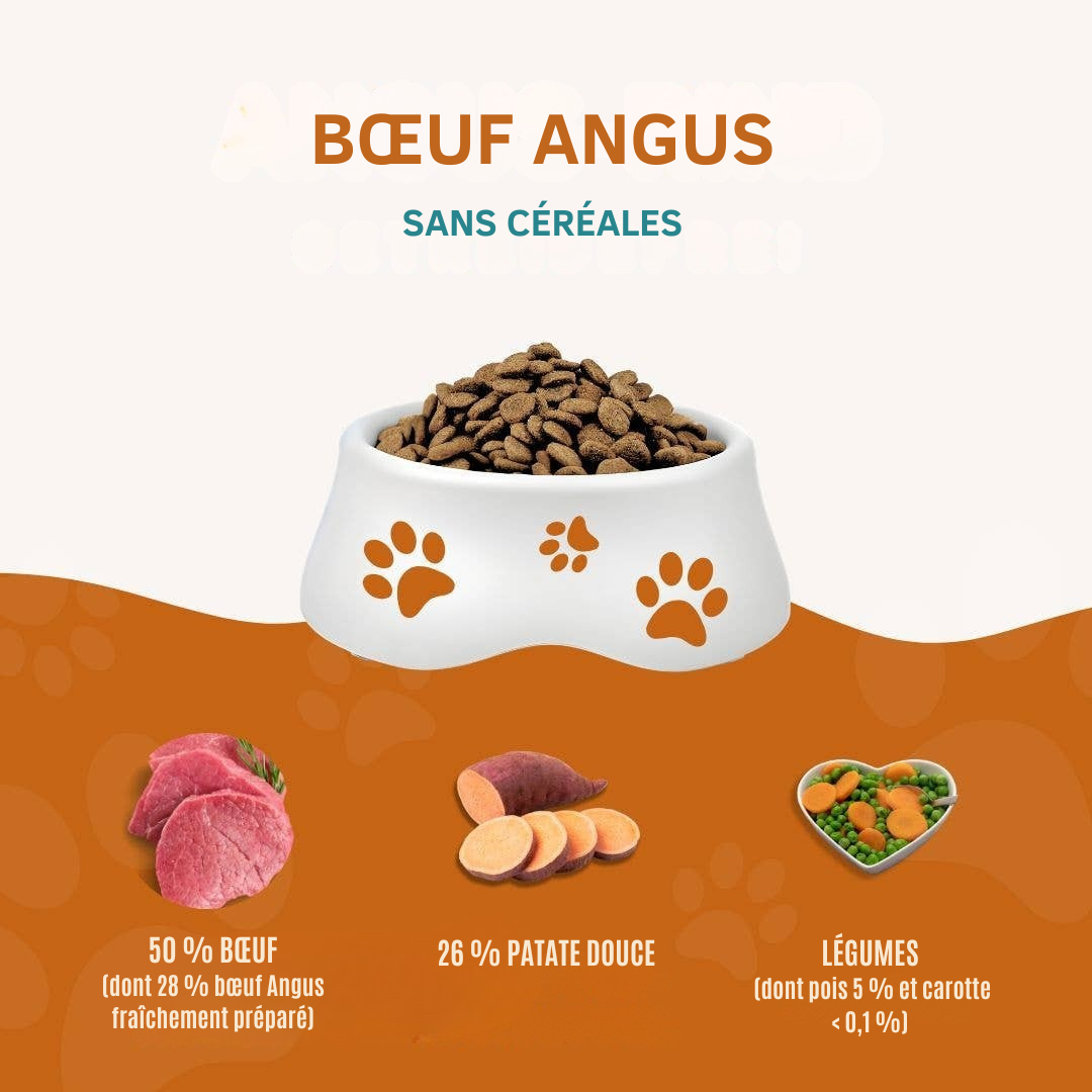 Croquettes au bœuf Angus