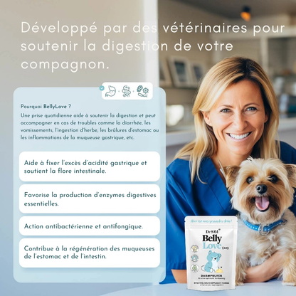 Poudre intestinale à base de plantes pour chiens