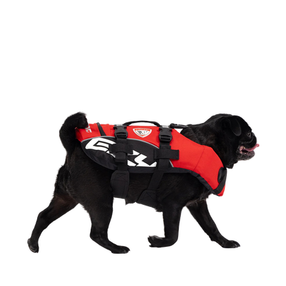 Gilet de sauvetage pour chiens