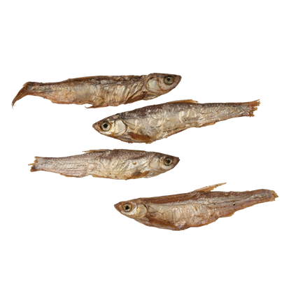 Petits poissons séchés pour chiens et chats