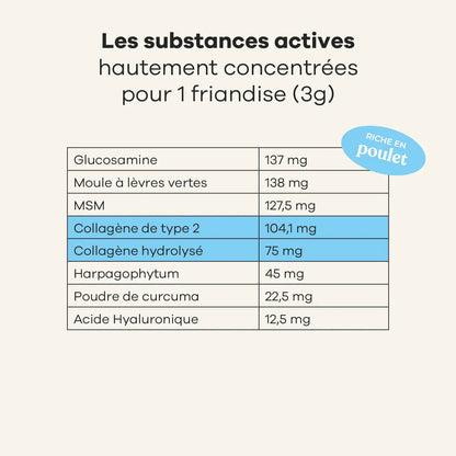 Complément alimentaire mobilité pour chiens