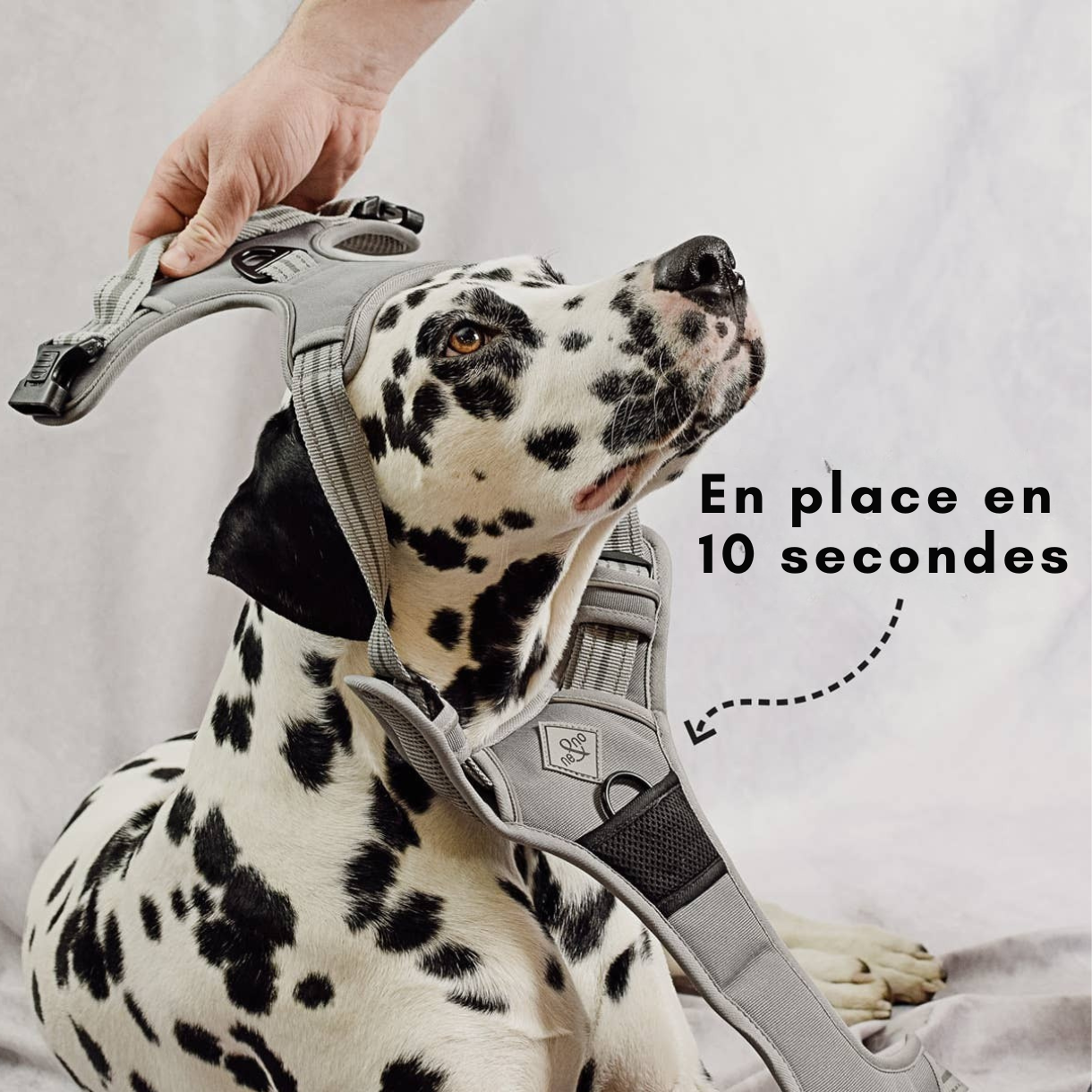 Harnais réfléchissant anti-traction